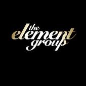 THE ELEMENT GROUP: REAL LIFE MUZIK profile picture