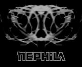 Nephila profile picture