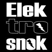 Elektrosnok profile picture