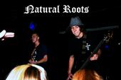 Natural Roots (NEW MUSIC UP) profile picture