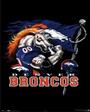 BRONCOFAN/VINCE profile picture