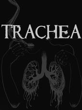 Trachea profile picture