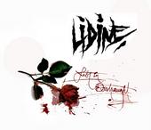 LIDINE profile picture