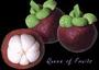 Tree of Life Mangosteen Fruit profile picture