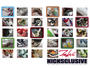 kicksclusive.com profile picture