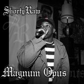 Get ready for Magnum Opus Fool! profile picture