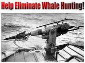 Help eliminate whale hunting profile picture