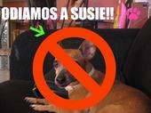 odiamos_a_susie