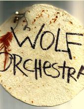 WOLF ORCHESTRA profile picture