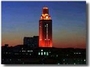 Texas Longhorns profile picture