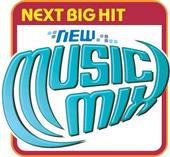 Next Big Hit New Music Mix profile picture