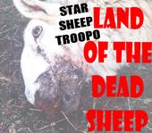 STAR SHEEP TROOPO profile picture