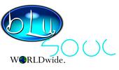 BluSoul Booking and Management profile picture