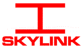 SkyLink profile picture