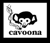 Cavoona profile picture