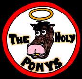 The Holy Ponys profile picture