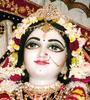 Jaya Radhe Shyam profile picture