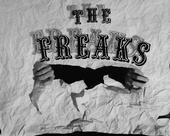 the freaks profile picture