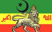 ETHIOPIAN MUSLIMS Ø§Ù„Ù„Ù‡ Ø£ÙƒØ¨Ø± profile picture