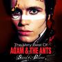 adam-ant.net profile picture