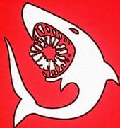 BME Shark profile picture