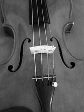 Scandinavian Strings profile picture