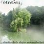 Streben (DEMO OUT NOW!) profile picture