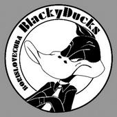 BlackyDucks profile picture