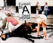 Dead Horsey Fuck profile picture