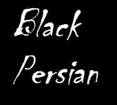 Black Persian profile picture