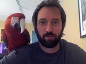 Tom Green profile picture