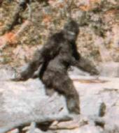 Creepsquatch profile picture