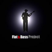 Flat&BassProject profile picture