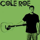 Cole’s Acoustic Stuff profile picture