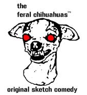 The Feral Chihuahuas profile picture