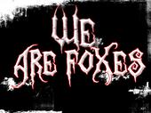 We Are Foxes[Needs guitar player] profile picture