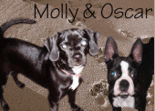 Oscar & Molly profile picture