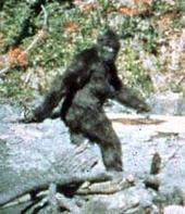 Bigfoot(add me as a friend) profile picture