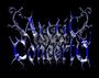 Arctic Concerto - Winters Sorrow Â® profile picture