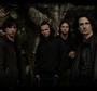 Gojira Embrace The World profile picture