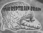 The Reptilian Brain profile picture