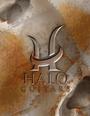 HALO GUITARS profile picture