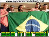 BSBinBrasil profile picture