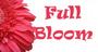 www.FullBloomInc.com profile picture