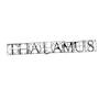 Thalamus profile picture