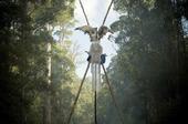 Huon Valley Environment Centre profile picture