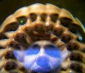 Space Advocate profile picture