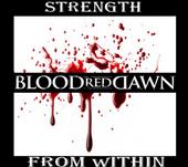 Blood Red Dawn profile picture