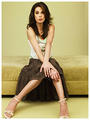 [Teri Hatcher Fans] profile picture