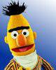 Bert profile picture